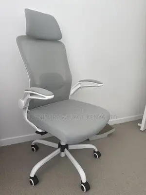Ergonomic Home Chair.