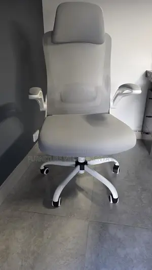 Ergonomic Home Chair.