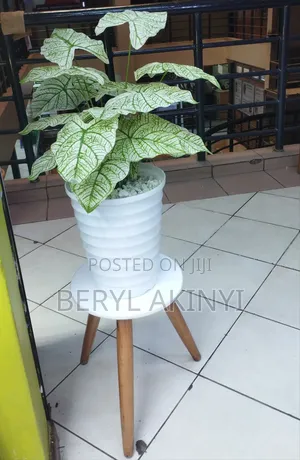 Planter With Plants