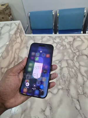Apple iPhone 16 Pro 256 GB Gray