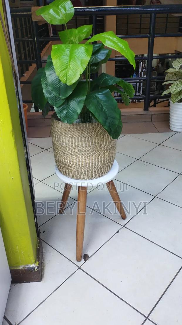 Basket With Plants