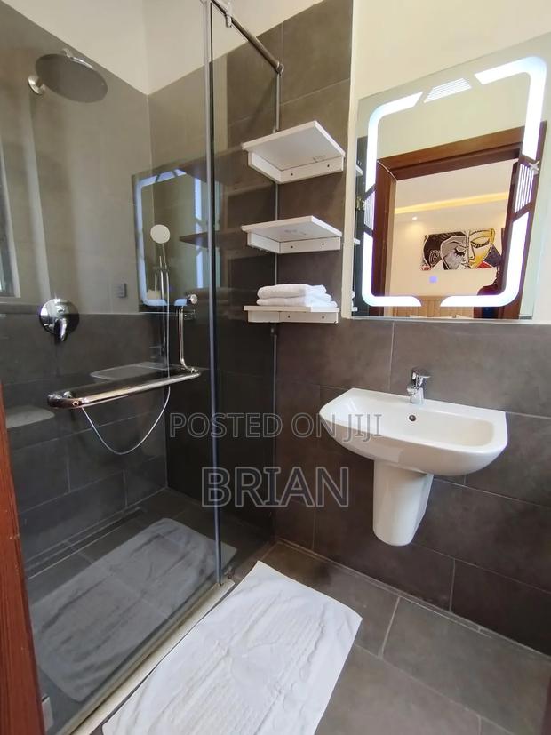 Furnished 1bdrm Apartment in Spring Valley for rent - thumbnail 14