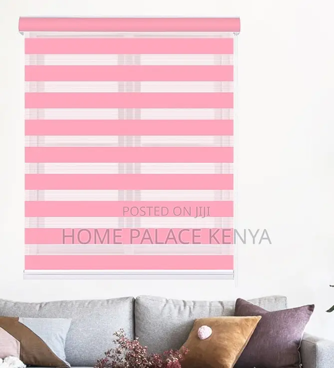 Horizontal Blinds: Modern Zebra Window Shade Roller Blinds