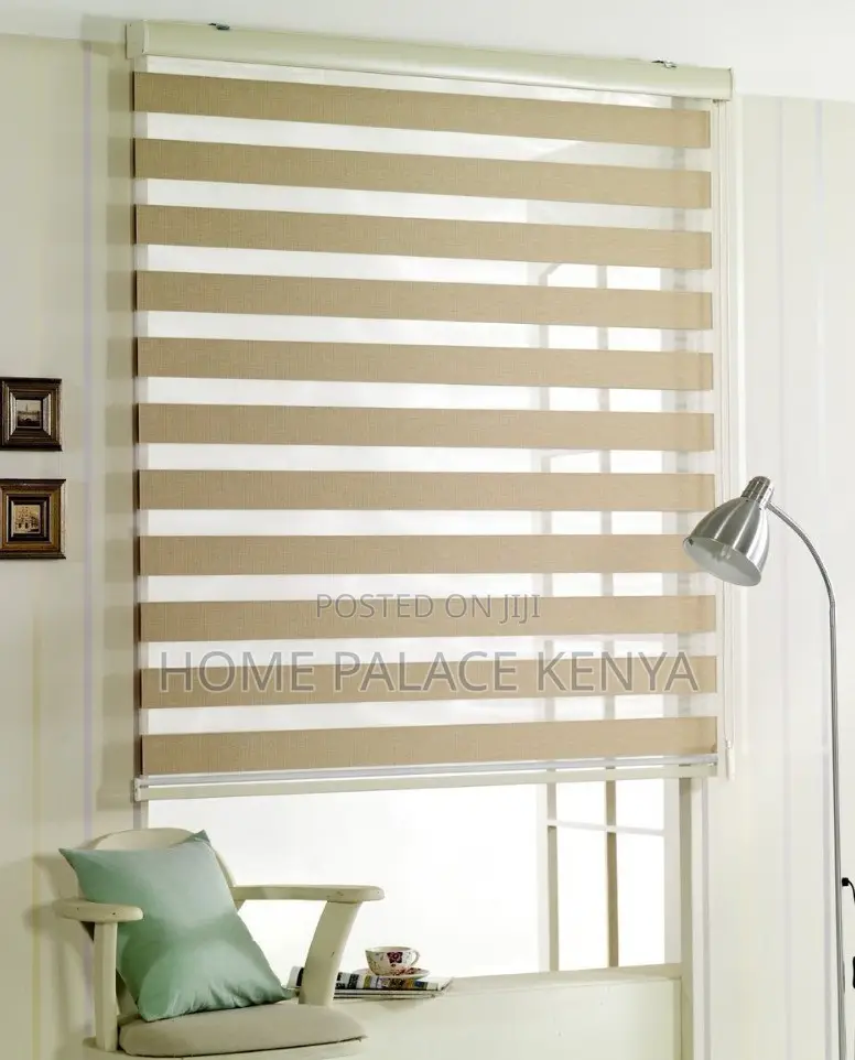 Horizontal Blinds: Modern Zebra Window Shade Roller Blinds