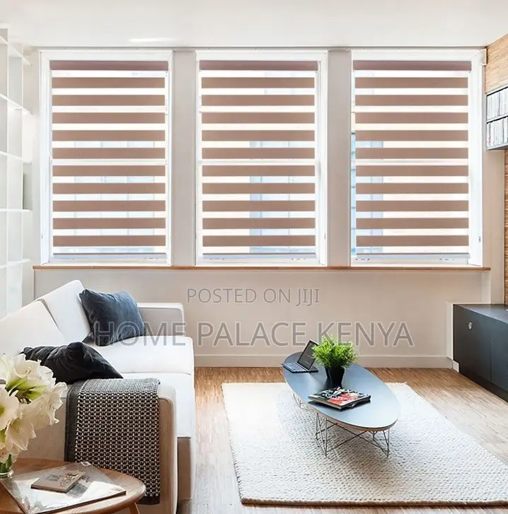 Horizontal Blinds: Modern Zebra Window Shade Roller Blinds