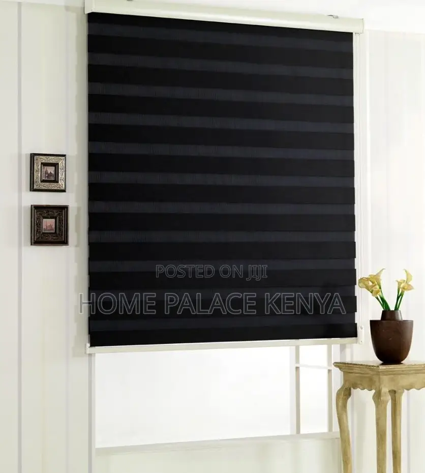 Horizontal Blinds: Modern Zebra Window Shade Roller Blinds