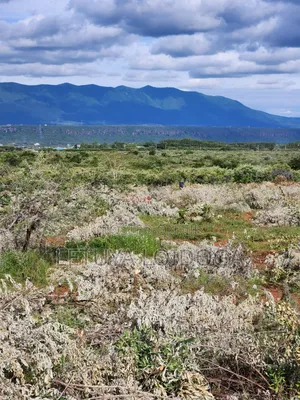 Prime 10 Acres Ngong-Kimuka