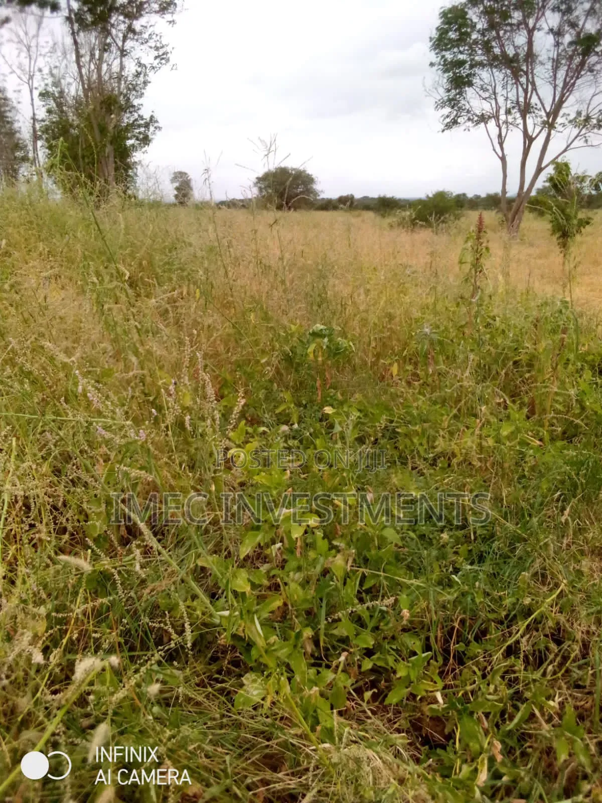 Taita Taveta Massive Farm
