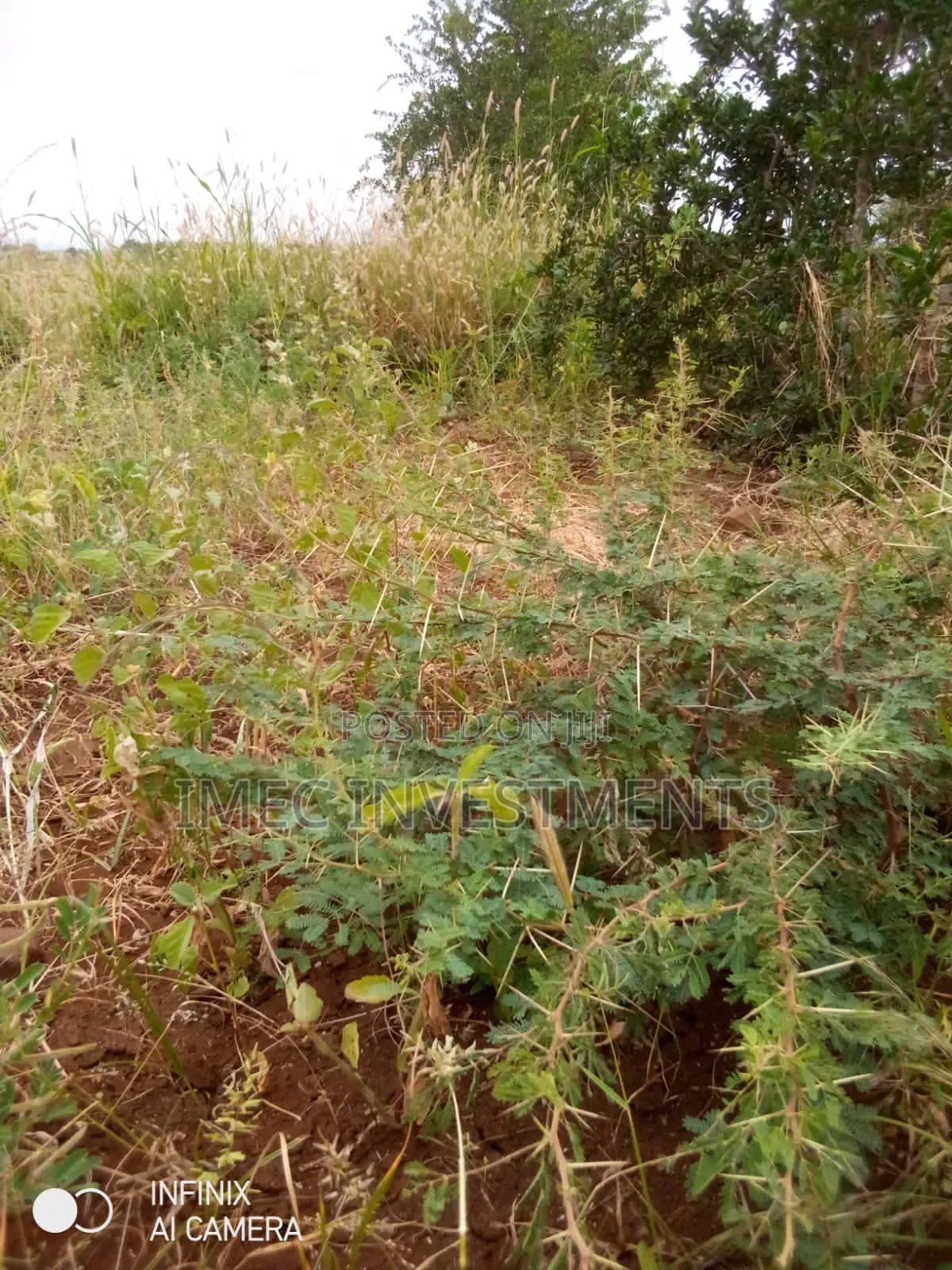 Taita Taveta Massive Farm