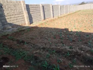 Conventional Brick and Mortar Construction