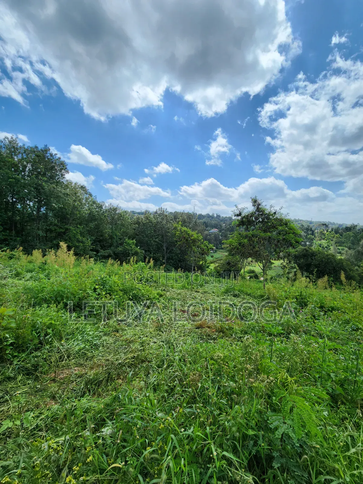 1⁄4 Acre Plots Ngong-Matasia