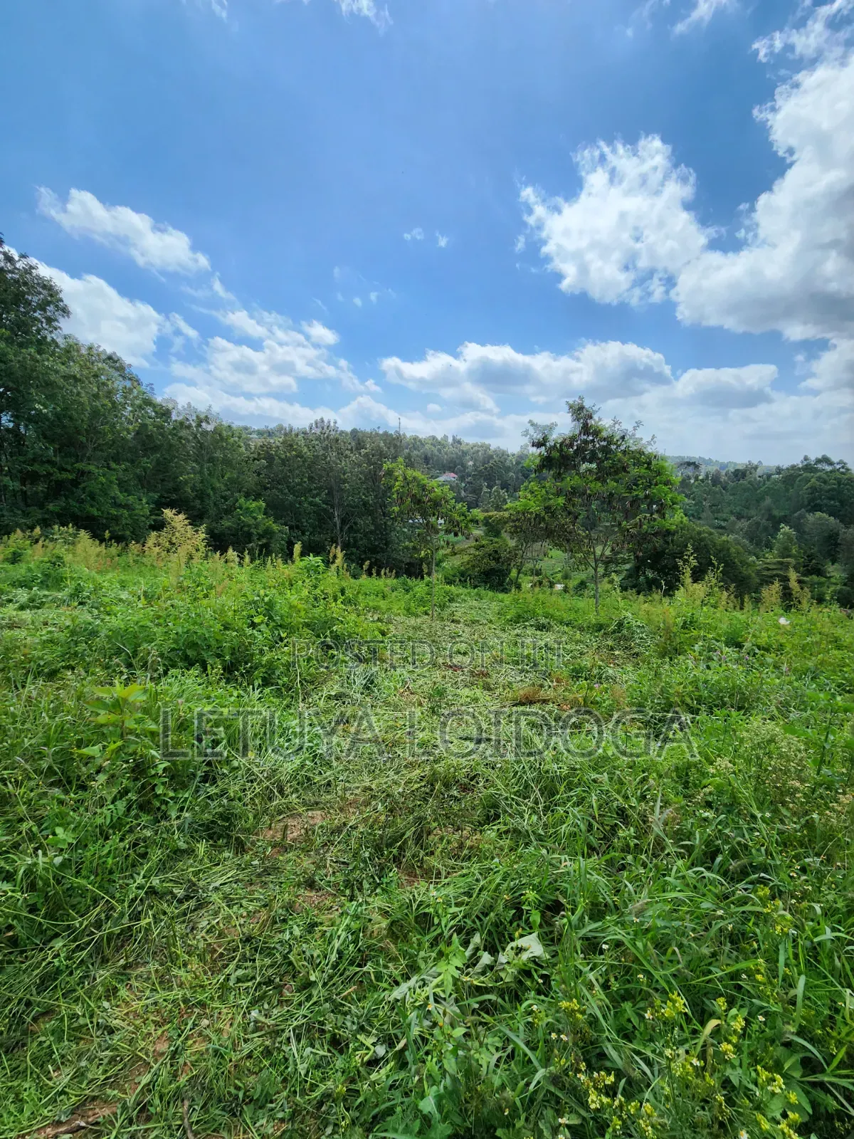 1⁄4 Acre Plots Ngong-Matasia