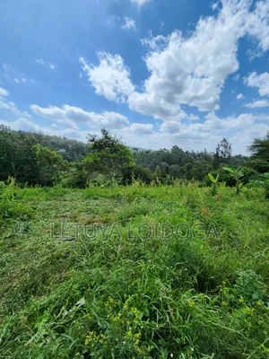 1⁄4 Acre Plots Ngong-Matasia