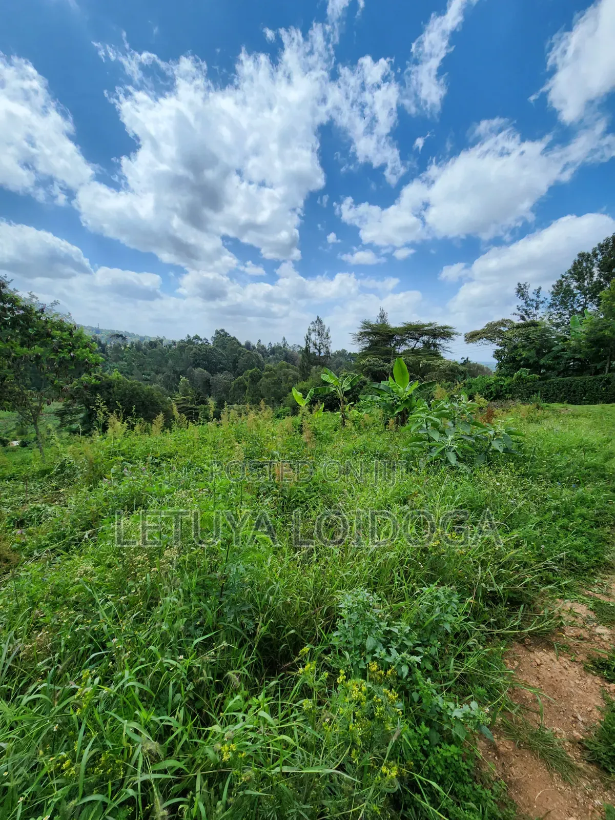 1⁄4 Acre Plots Ngong-Matasia