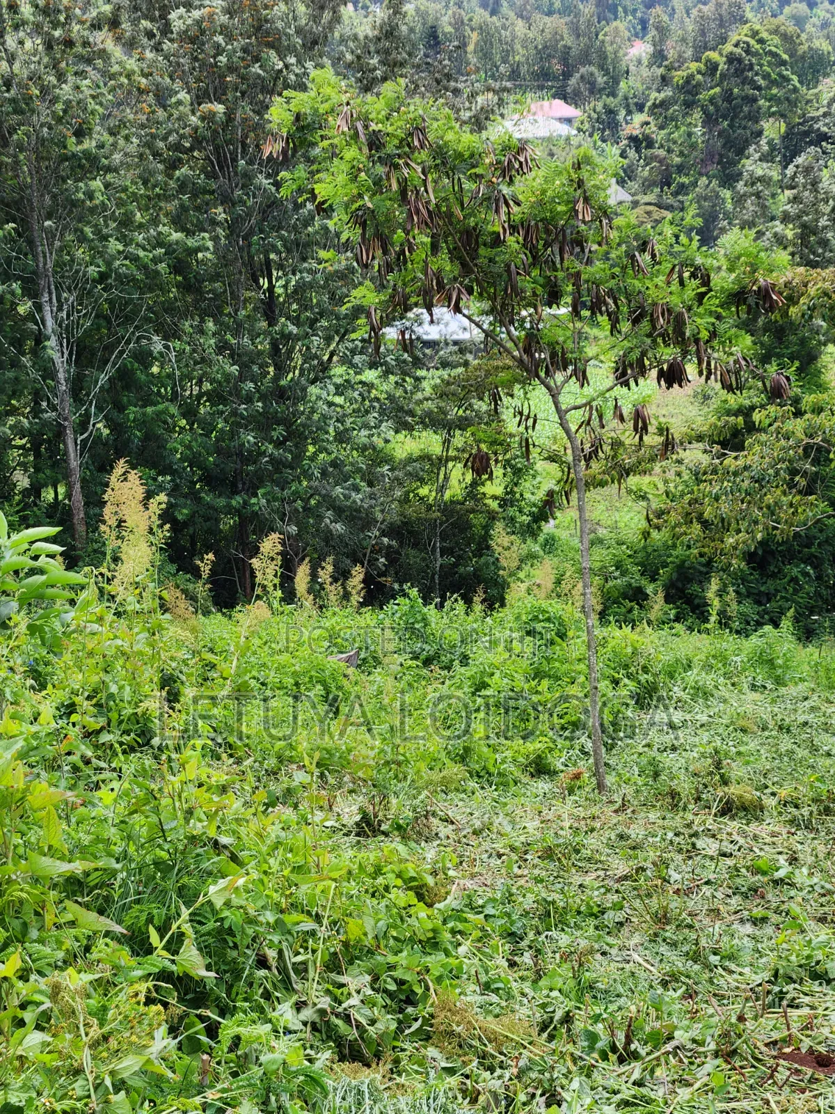 1⁄4 Acre Plots Ngong-Matasia