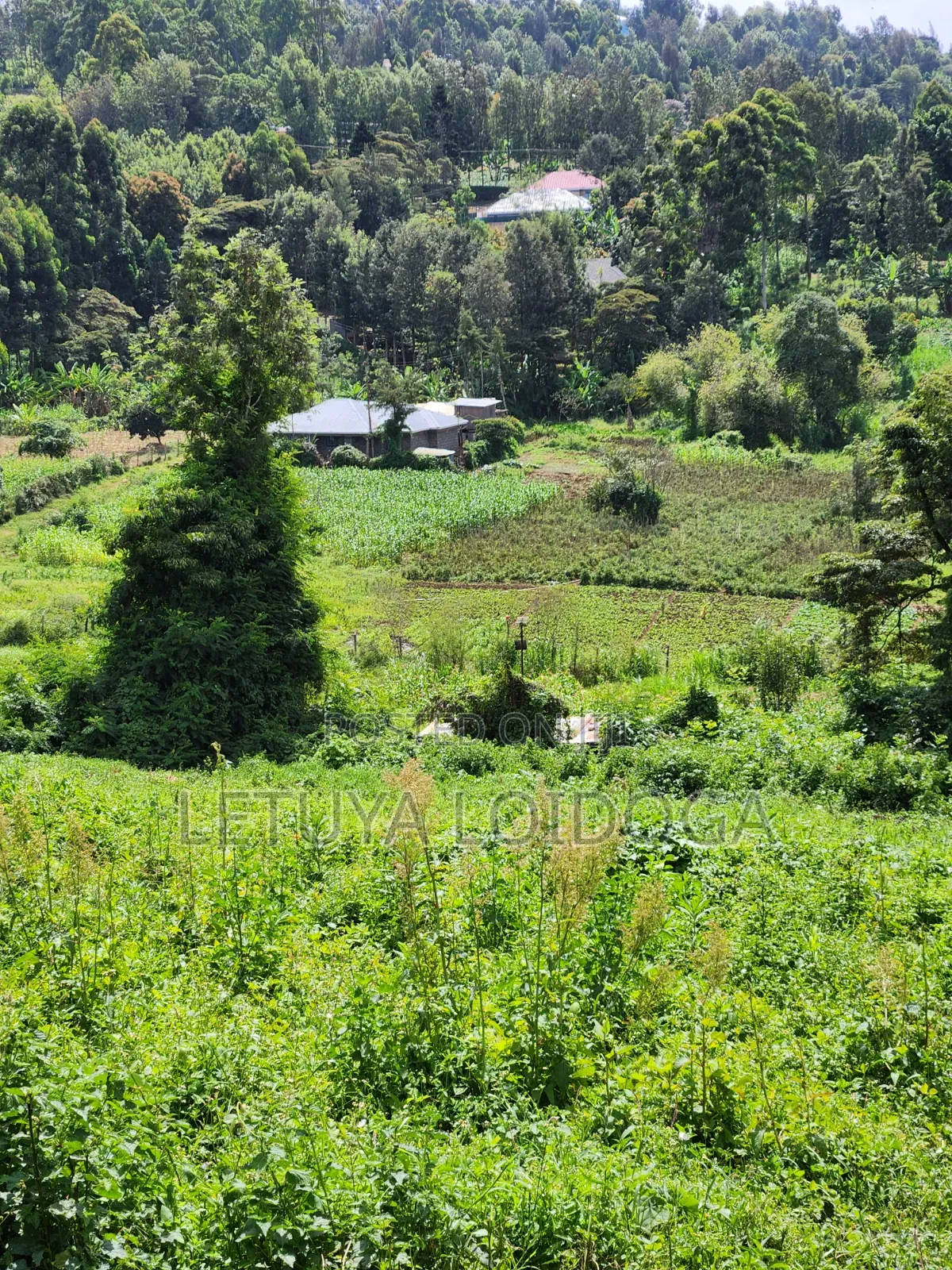 1⁄4 Acre Plots Ngong-Matasia