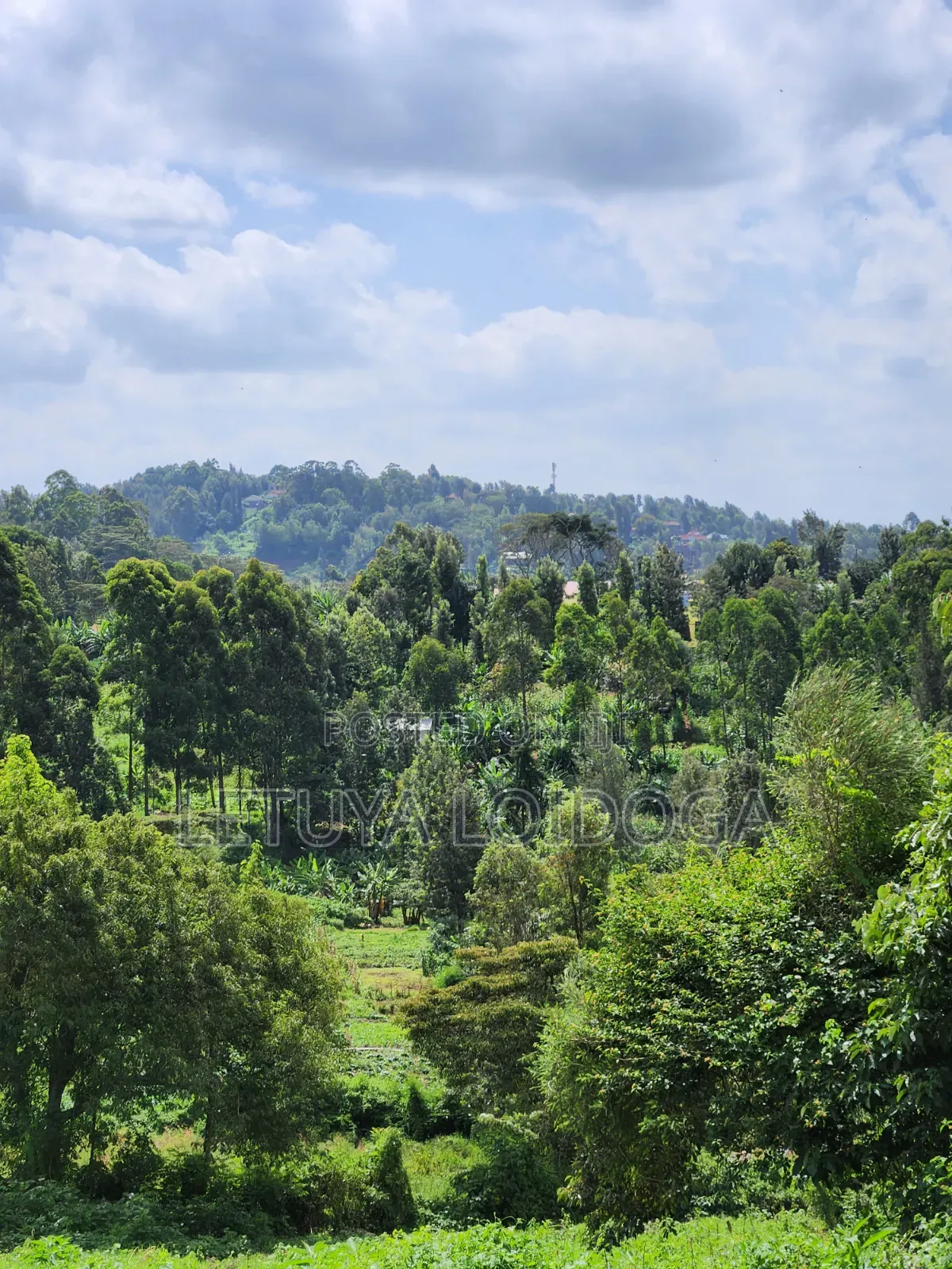 1⁄4 Acre Plots Ngong-Matasia
