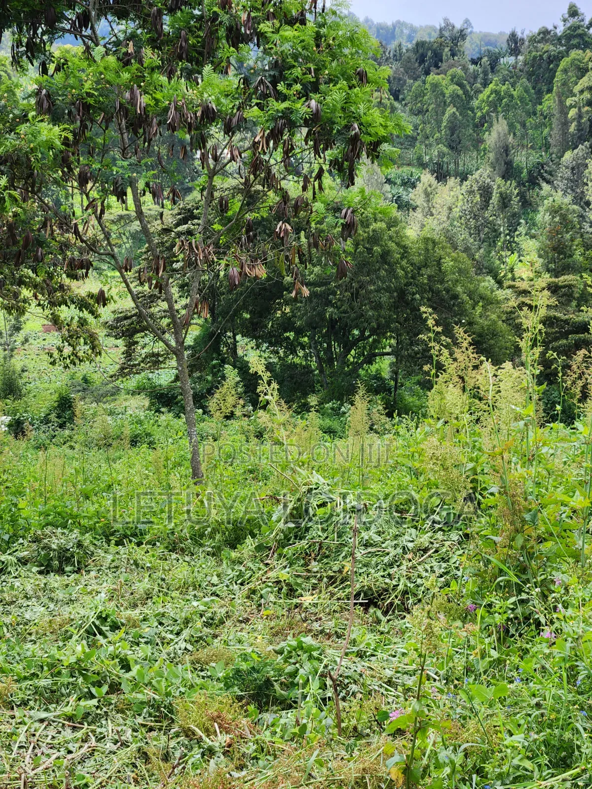 1⁄4 Acre Plots Ngong-Matasia