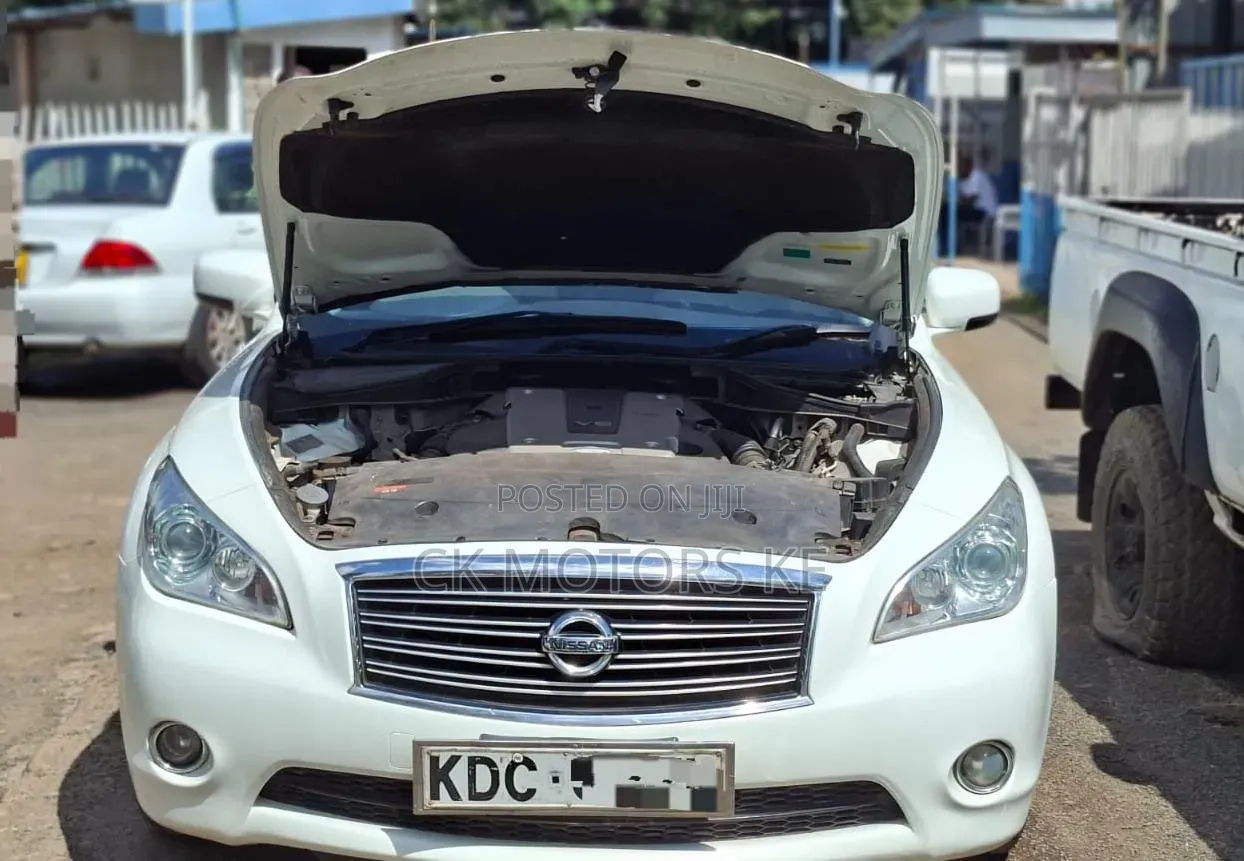 Nissan Fuga 2013 White
