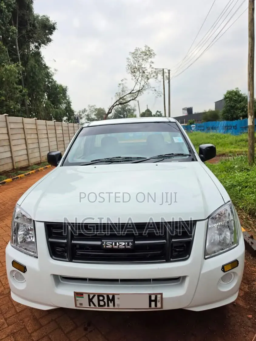 Isuzu D-MAX 2010 White