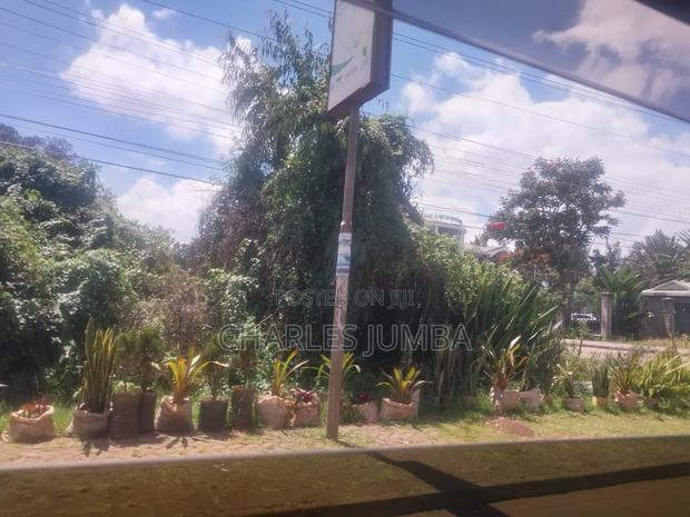 1 Acre for Lease - thumbnail 4