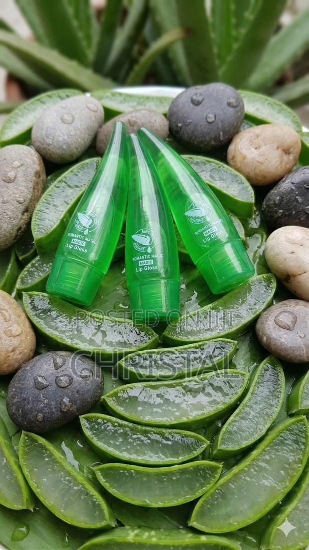 Aloe Lip Gloss