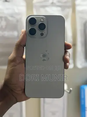 Apple iPhone 15 Pro Max 256 GB Silver