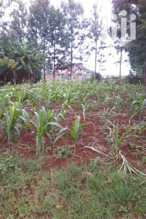 60 by 100 for Sale in Kiamumbi Kamiti Rd