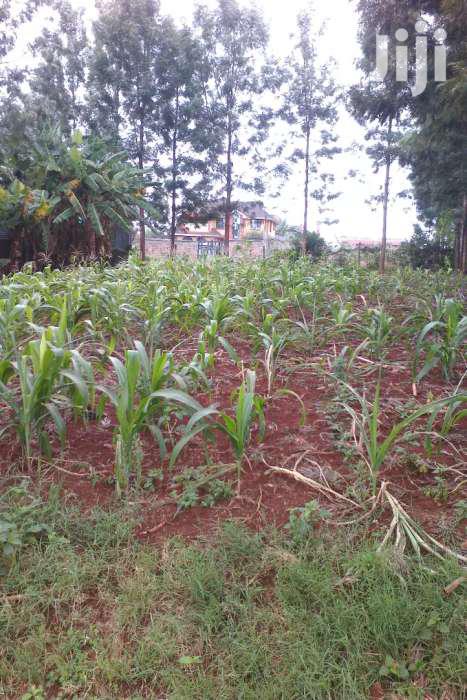 60 by 100 for Sale in Kiamumbi Kamiti Rd