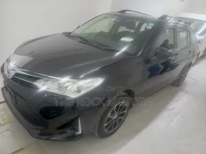 Toyota Corolla Fielder 2019 Black