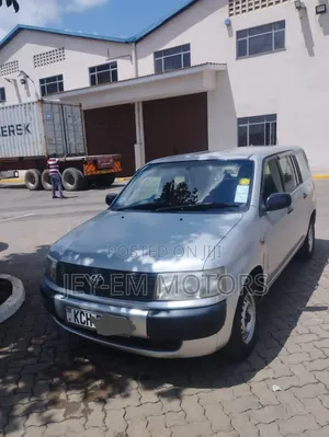 Toyota Probox 2009 Silver