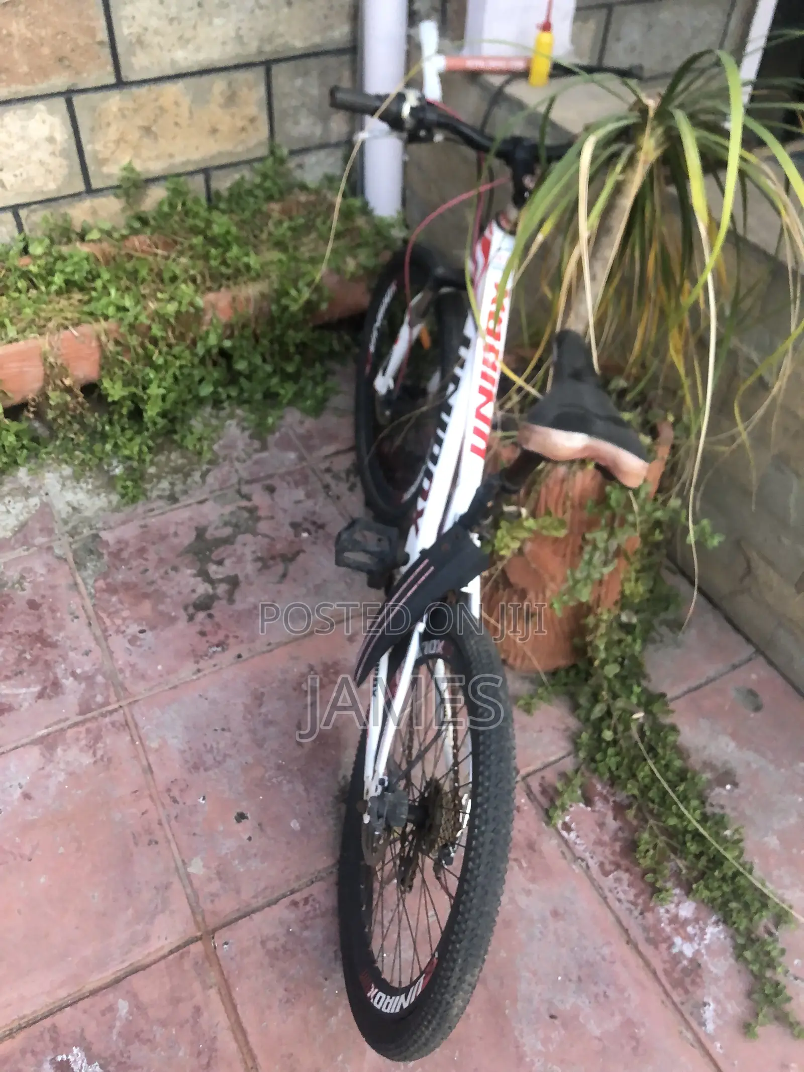 Hardtrail Bike
