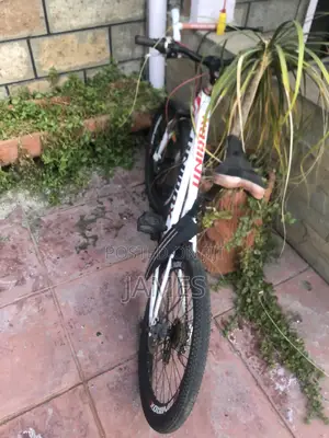 Hardtrail Bike