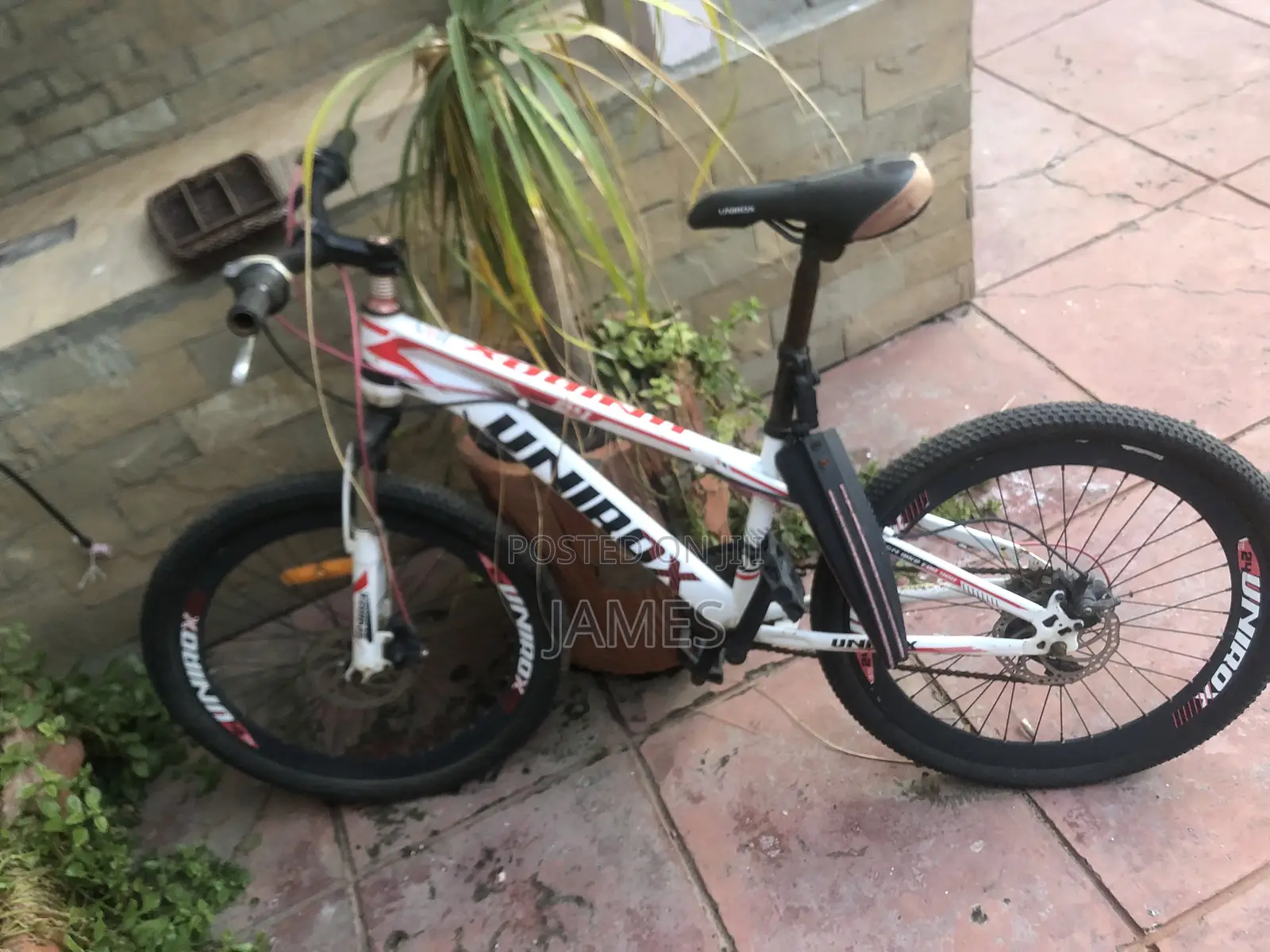Hardtrail Bike