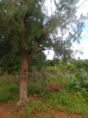 5 Acres Land 700 Metres From Beach