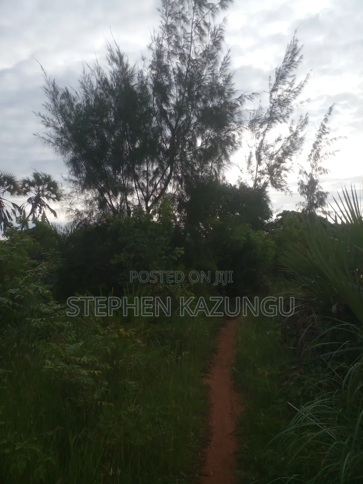 5 Acres Land 700 Metres From Beach