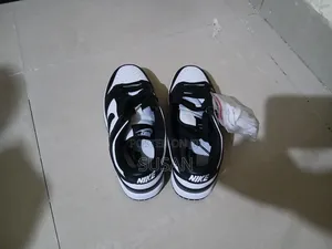 Nike Sb Dunk Black White