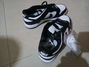 Nike Sb Dunk Black White