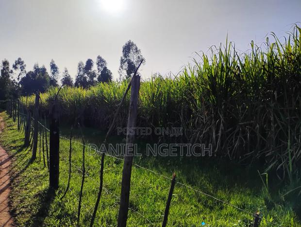 Prime 4 Acres Kimuri Uasin Gishu County(Eldoret City) - thumbnail 9