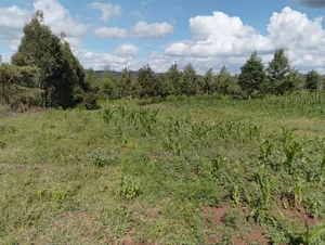 Ndeiya Limuru 50*100 Plots