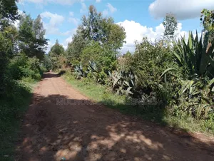 Ndeiya Limuru 50*100 Plots