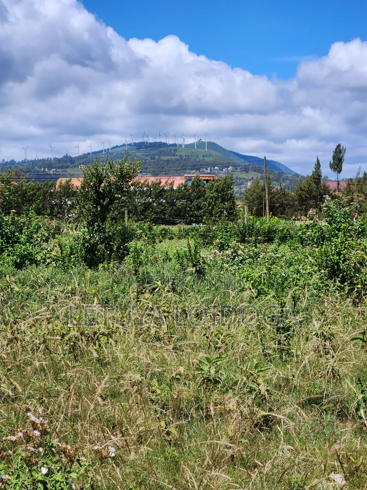 3⁄4 Acre, 1⁄4 Acre Ngong-Kibiko
