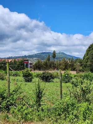 3⁄4 Acre, 1⁄4 Acre Ngong-Kibiko
