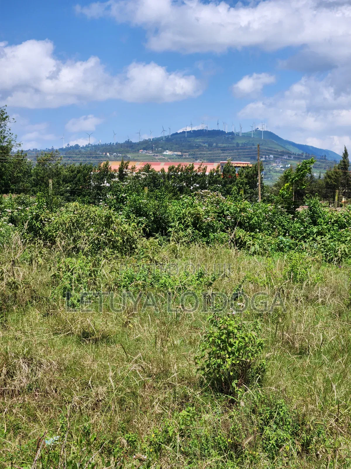 3⁄4 Acre, 1⁄4 Acre Ngong-Kibiko