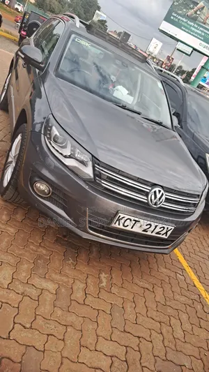 Volkswagen Tiguan 2013 Gray