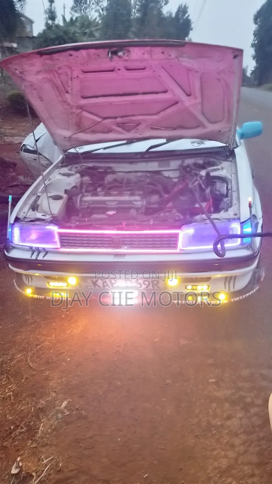Toyota Corolla 1999 White