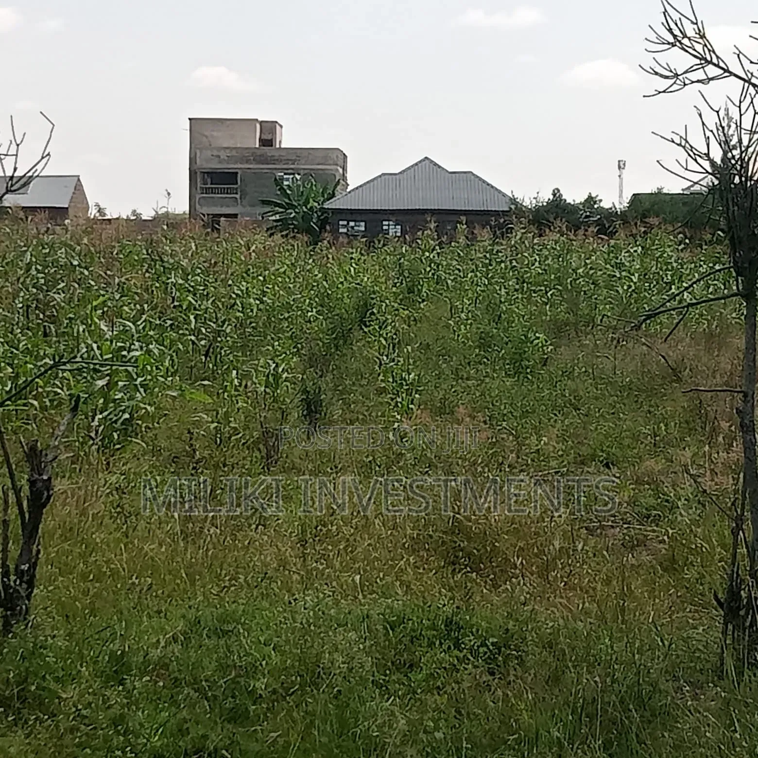 40 by 60 Ft Plot on Sale at Joska