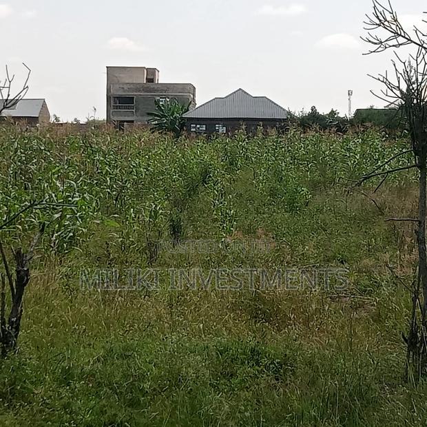 40 by 60 Ft Plot on Sale at Joska