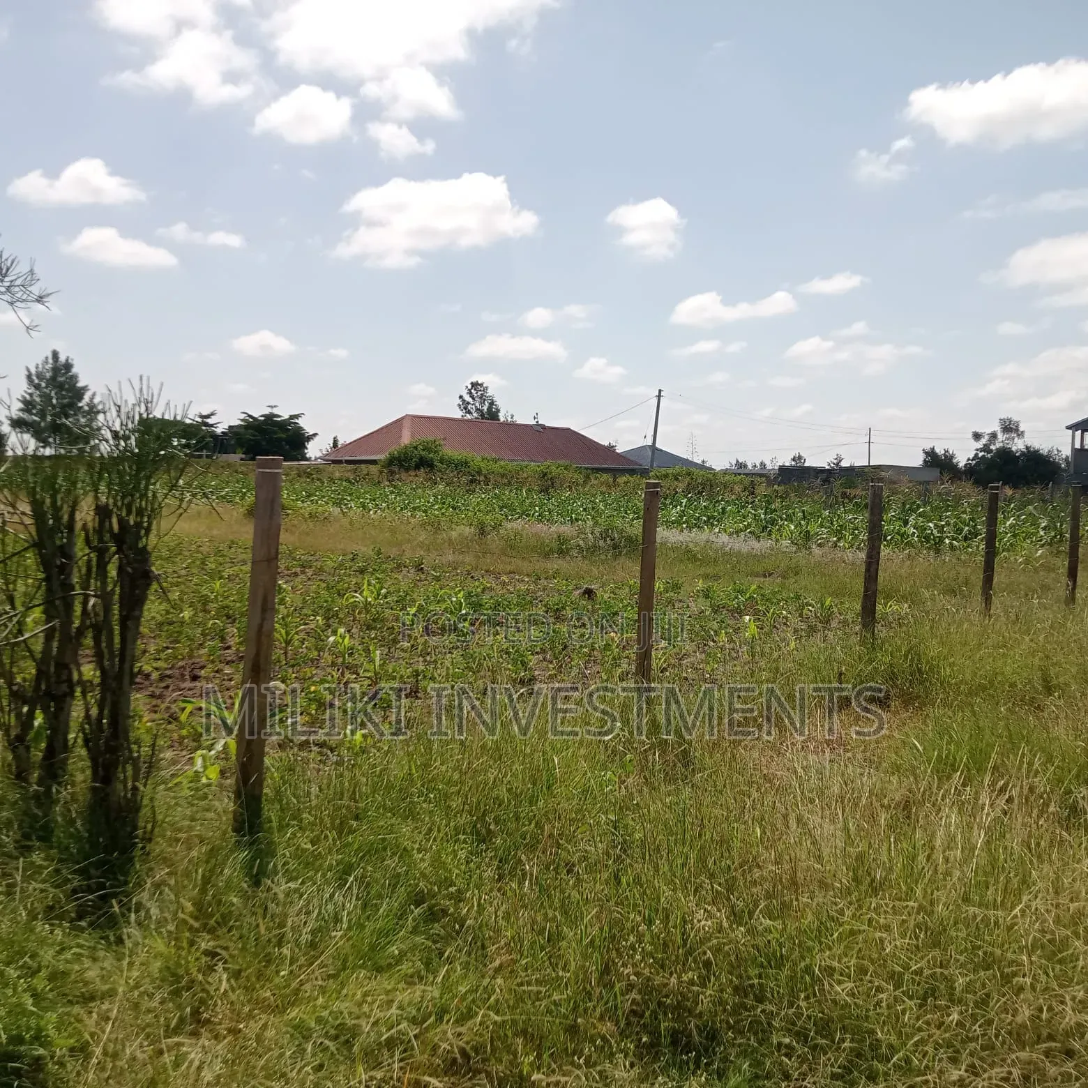 40 by 60 Ft Plot on Sale at Joska