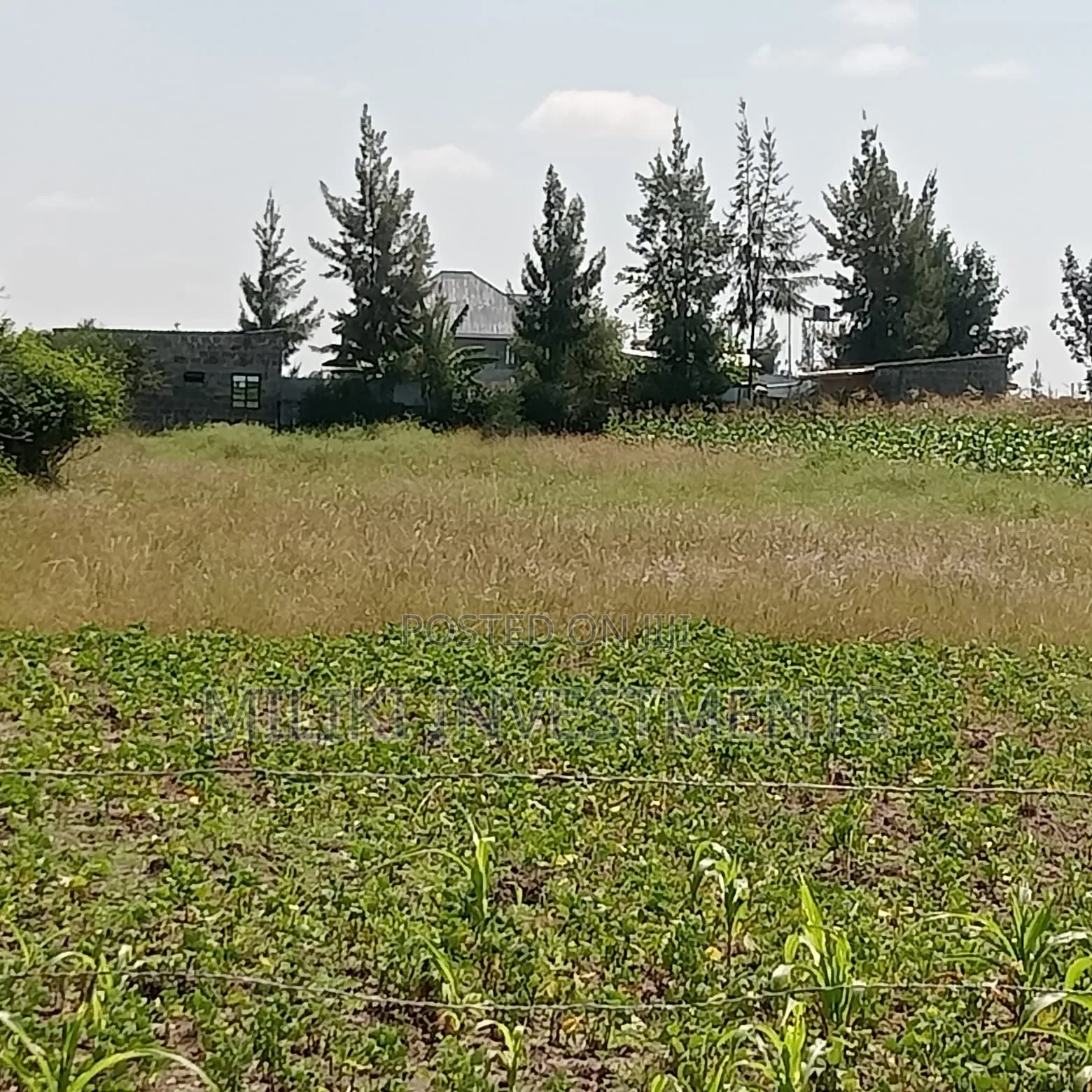 40 by 60 Ft Plot on Sale at Joska